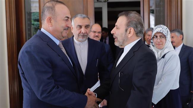Mevlüt Cavusoglu y Mahmud Vaezi