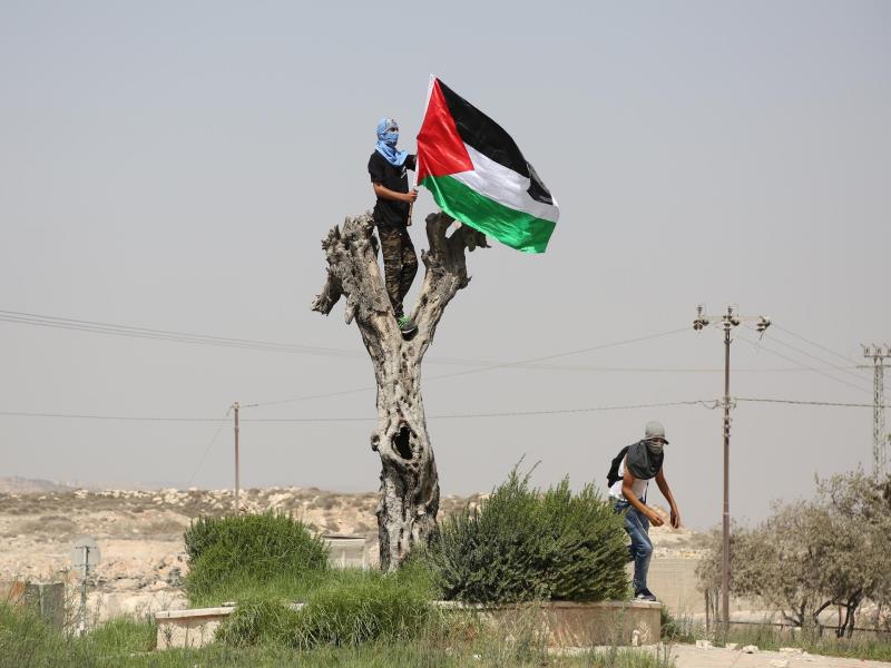 palestina