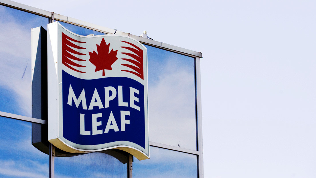maple leaf