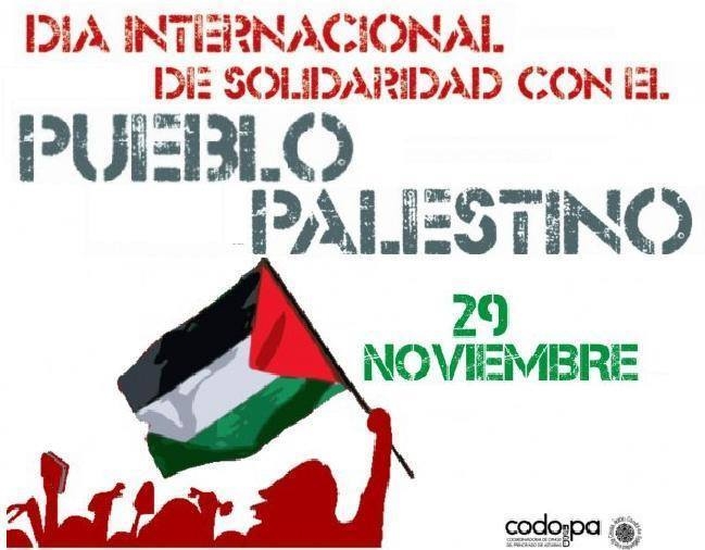 solidaridad palestina