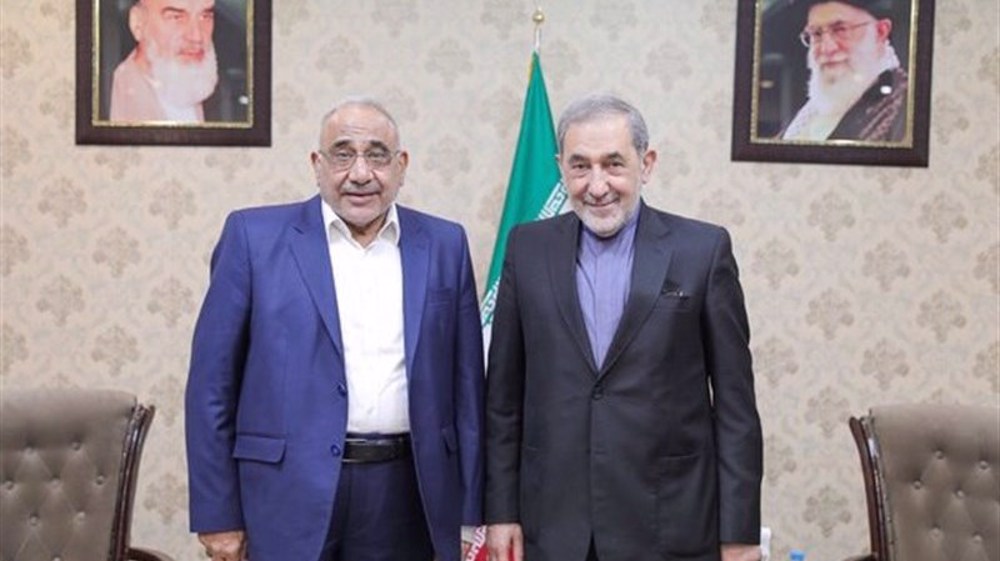 ali-akbar-velayati-y-adel-abul-mahdi
