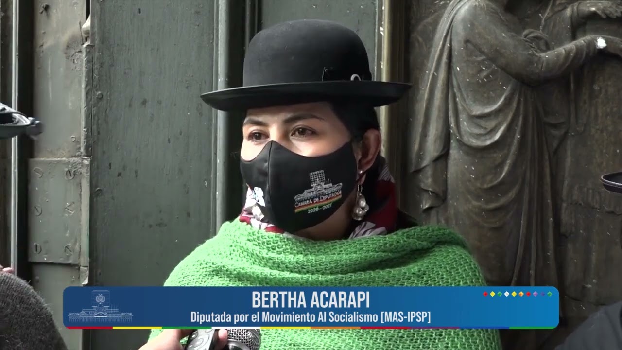 la-diputada-del-movimiento-al-socialismo-bertha-aracapi