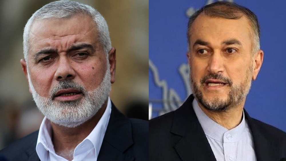 abdollahian-haniyeh-2