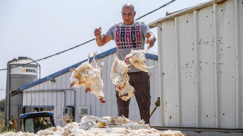 colono-israeli-prefiere-hezbola