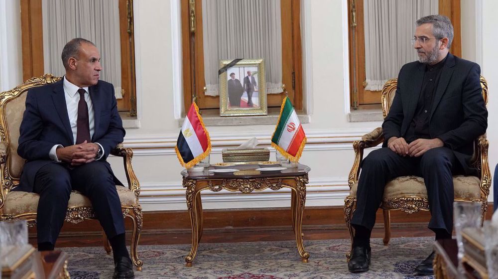 badr-ahmed-mohamed-abdel-ati-kani