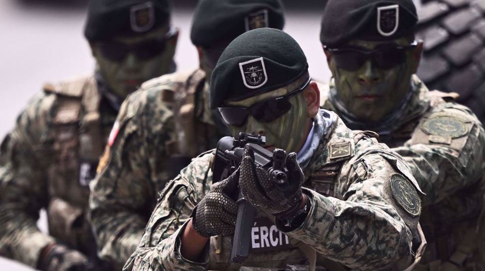 Fuerzas de seguridad mexicanas