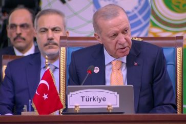 erdogan-cumbre-d-8-cairo