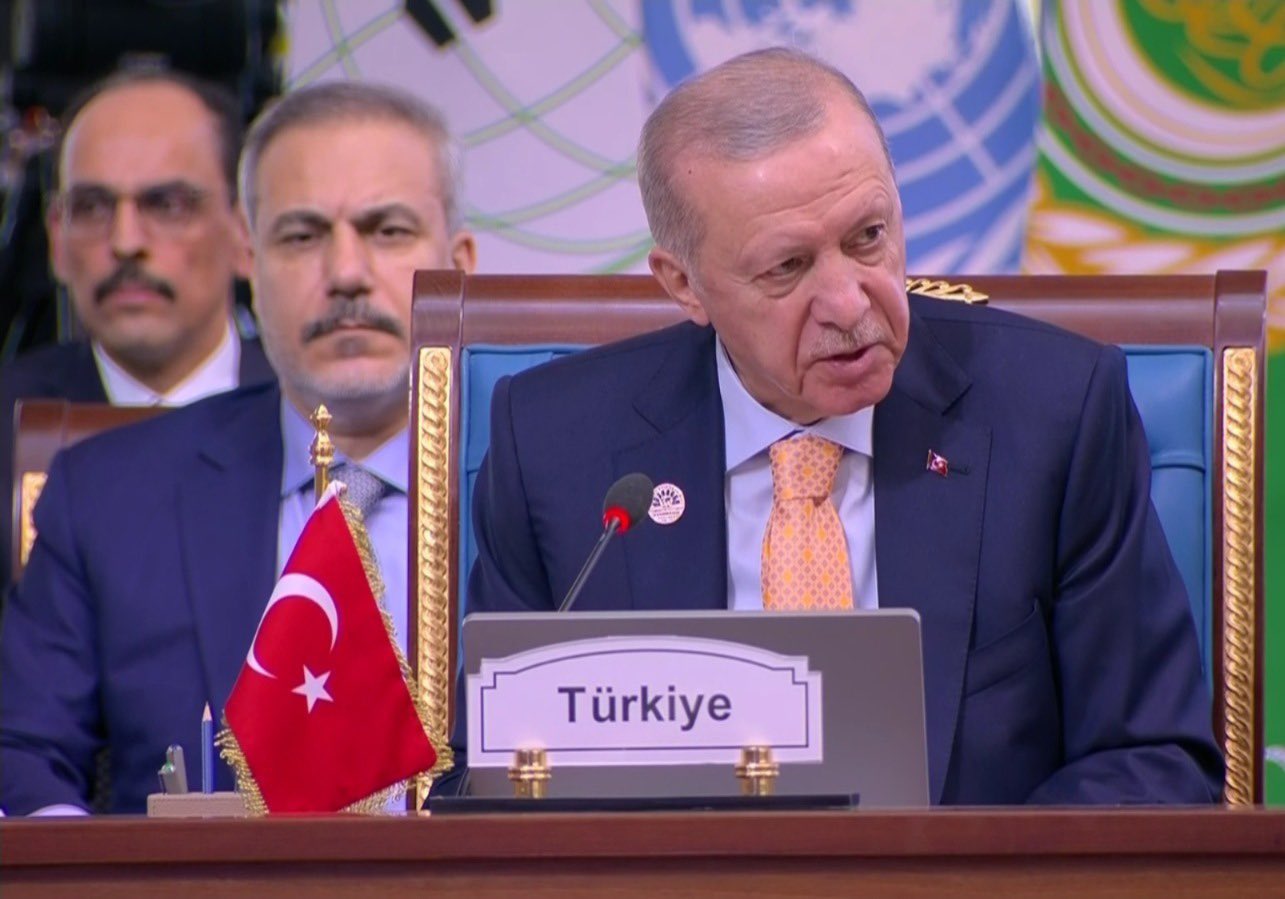 erdogan-cumbre-d-8-cairo