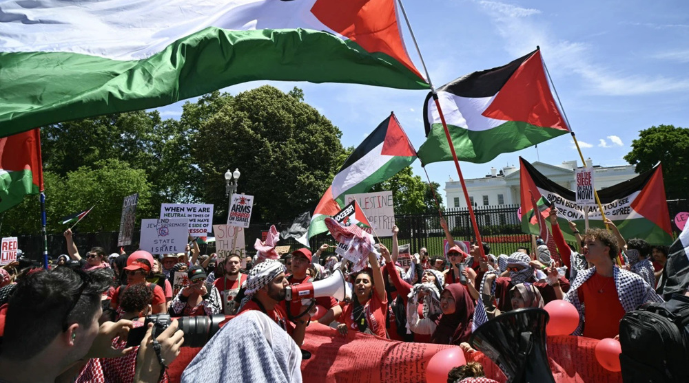 manifestacion-palestina-washington-dc