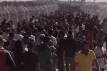 corriente-humana-ayuda-gaza