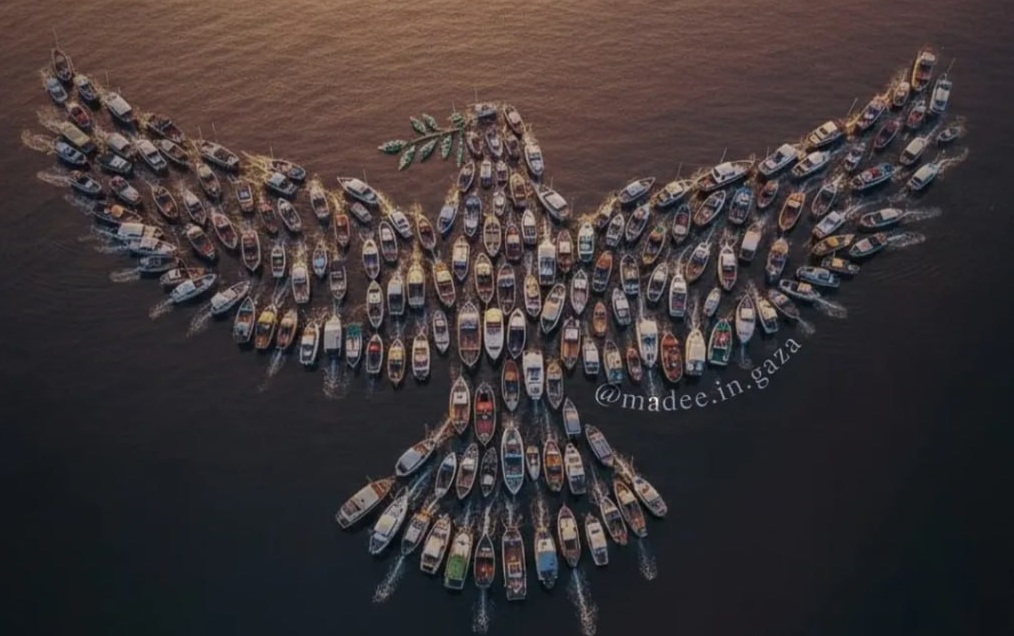 paloma-paz-barcos-flotilla